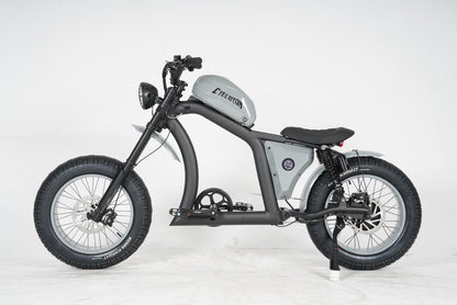 FT02 E-Bicycle