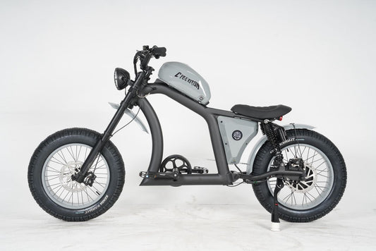 FT02 E-Bicycle