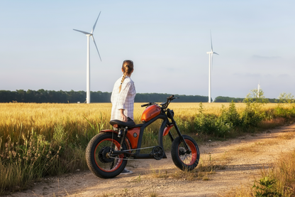 FT02 E-Bicycle