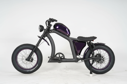 CYBERTRON Apex 1500 All-Trek E-Bike